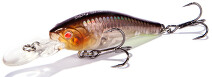 RENEGADE Spy Shad 47 SP (A122)